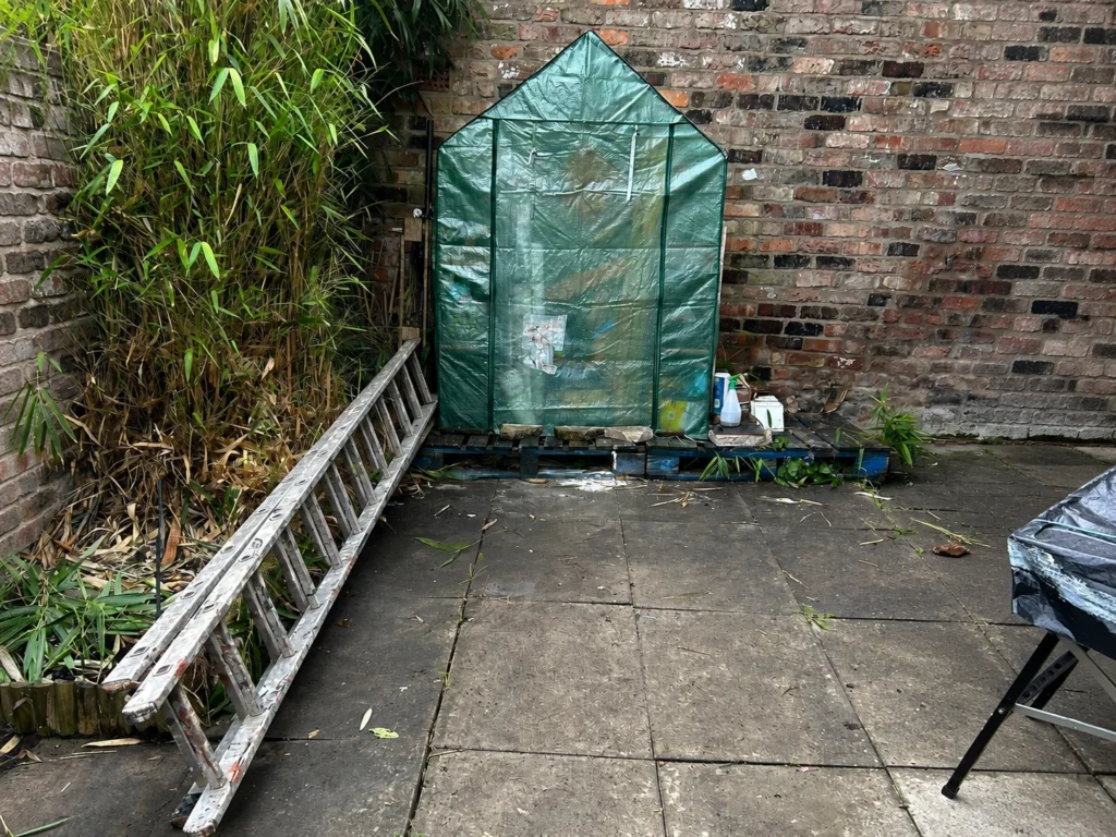 Greenhouse and garden waste removal Liverpool yard ready for clearance